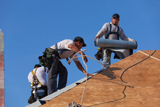 Best Local Roofing Companies  in Aragon, GA