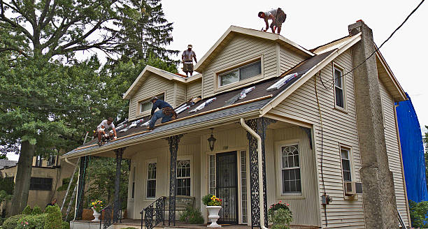 Best New Roof Installation  in Aragon, GA